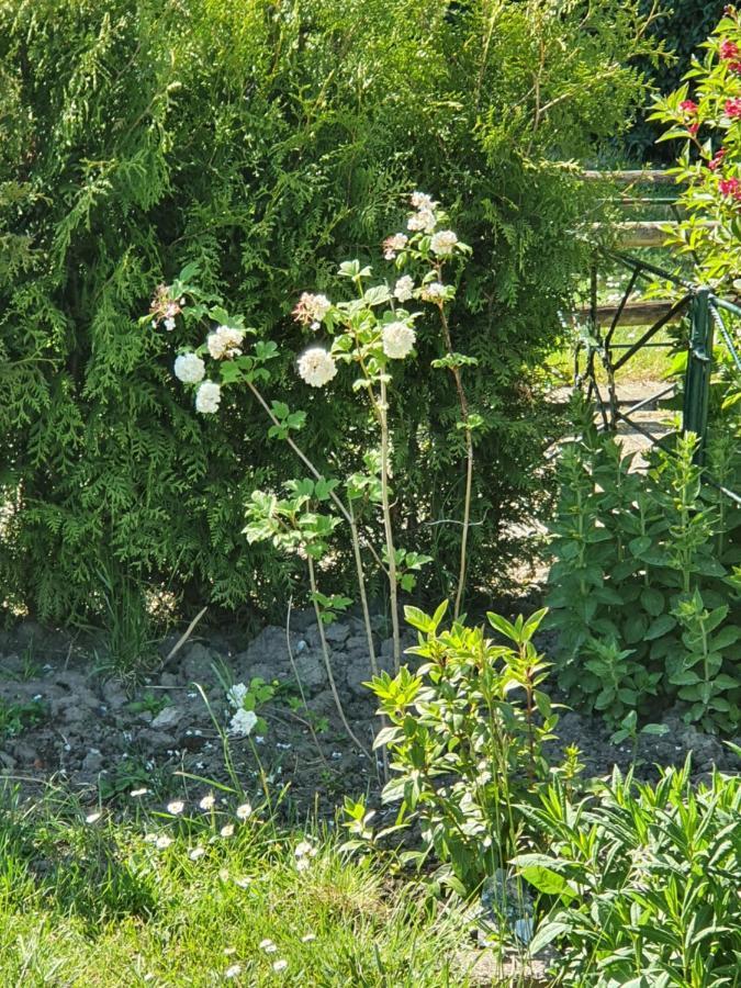 Rekerlanden 177 Vakantiewoning Nabij Strand Warmenhuizen Екстериор снимка